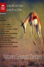 Watch Nature's Greatest Dancers 123movies