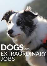 Watch Dogs with Extraordinary Jobs 123movies