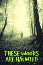 Watch These Woods are Haunted 123movies