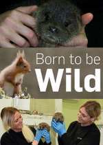 Watch Born to Be Wild 123movies