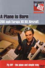 Watch A Plane Is Born 123movies