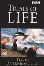 Watch The Trials of Life 123movies