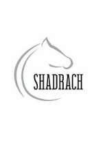 Watch Shadrach 123movies
