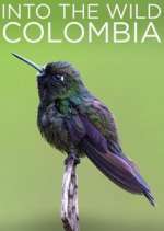 Watch Into the Wild Colombia 123movies