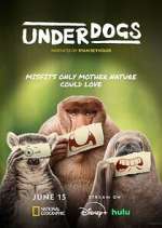 Watch Underdogs 123movies
