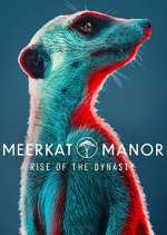 Watch Meerkat Manor: Rise of the Dynasty 123movies