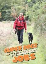 Watch Super Dogs with Extraordinary Jobs 123movies