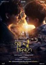 Watch Lost in the Woods 123movies