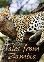 Watch Tales from Zambia 123movies