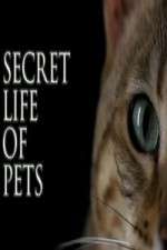 Watch The Secret Life of Pets 123movies