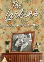 Watch The Larkins 123movies
