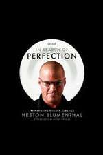 Watch In Search of Perfection 123movies