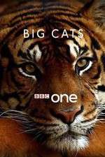 Watch Big Cats 123movies