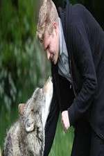 Watch Wolfblood Uncovered 123movies