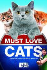 Watch Must Love Cats 123movies