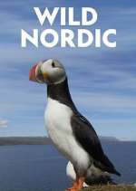 Watch Wild Nordic 123movies
