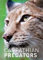 Watch Carpathian Predators 123movies
