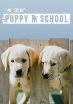 Watch Dog Squad: Puppy School 123movies