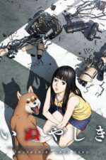Watch Inuyashiki 123movies