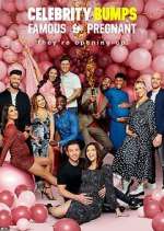 Watch Celebrity Bumps: Famous & Pregnant 123movies