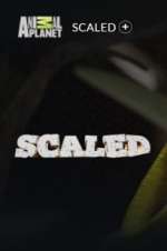 Watch Scaled 123movies