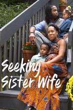 Watch Seeking Sister Wife 123movies