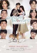Watch My Husband in Law 123movies