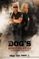 Watch Dog\'s Most Wanted 123movies