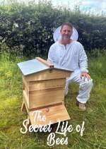 Watch The Secret Life of Bees 123movies