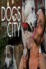 Watch Dogs in the City 123movies