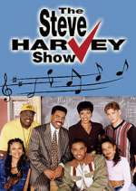 Watch The Steve Harvey Show 123movies
