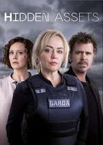 Watch Hidden Assets 123movies