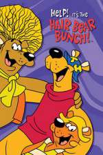 Watch Help!... It's the Hair Bear Bunch 123movies