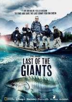 Watch Last of the Giants: Wild Fish 123movies
