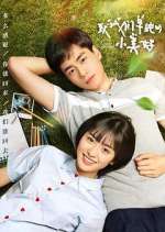 Watch A Love So Beautiful 123movies