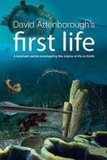 Watch David Attenborough's First Life 123movies