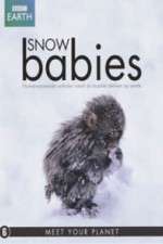 Watch Snow Babies 123movies