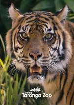 Watch Inside Taronga Zoo 123movies