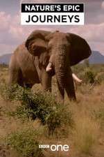 Watch Nature's Epic Journeys 123movies