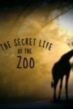Watch The Secret Life of the Zoo 123movies