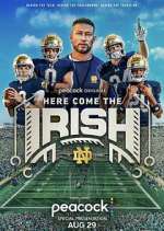 Watch Here Come The Irish 123movies